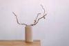 Picture of Sculptural Ceramic Vase