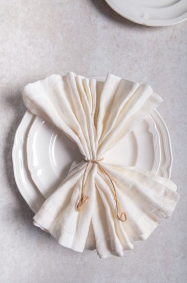 Picture of Linen Table Napkin Set